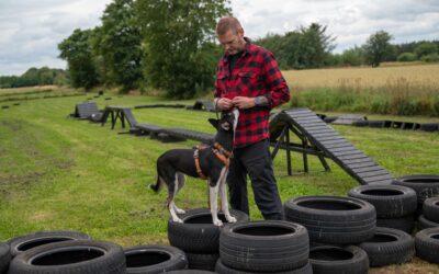 Lykkedes du med din træning ? :-)